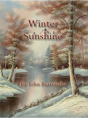 cover image of Winter Sunshine